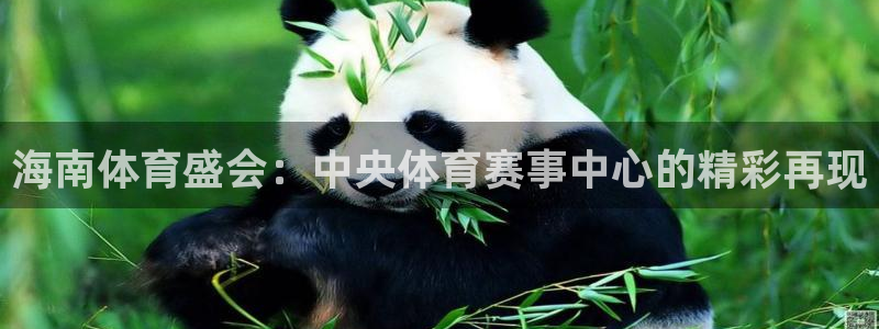 海南体育盛会：中央体育赛事中心的精彩再现