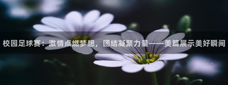 校园足球赛：激情点燃梦想，团结凝聚力量——美篇展示美好瞬间