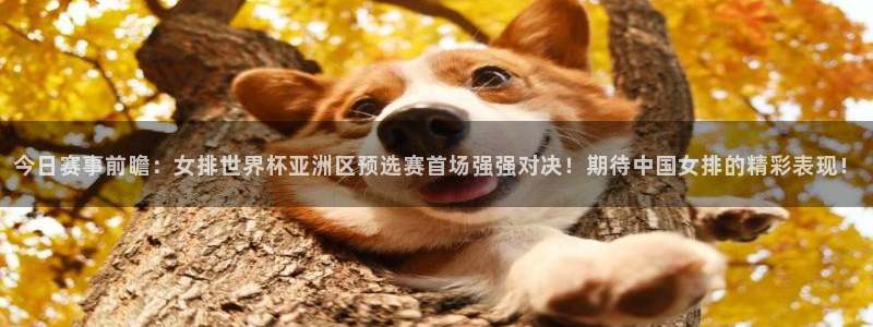 今日赛事前瞻：女排世界杯亚洲区预选赛首场强强对决！期待中国女排的精彩表现！
