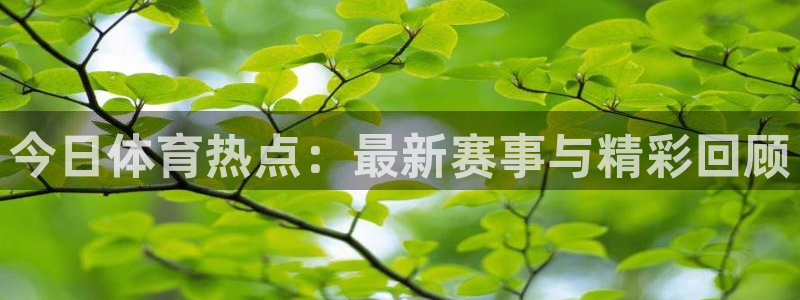 今日体育热点：最新赛事与精彩回顾