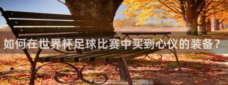 如何在世界杯足球比赛中买到心仪的装备？