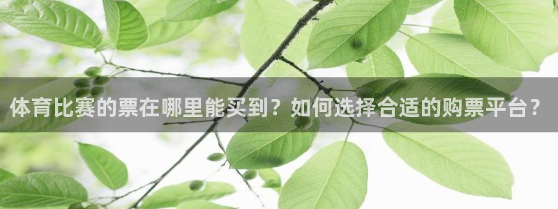 体育比赛的票在哪里能买到？如何选择合适的购票平台？