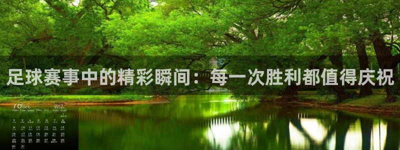 足球赛事中的精彩瞬间：每一次胜利都值得庆祝