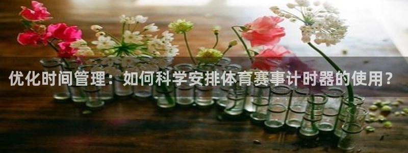 优化时间管理：如何科学安排体育赛事计时器的使用？