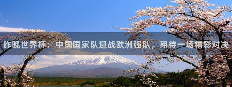 昨晚世界杯：中国国家队迎战欧洲强队，期待一场精彩对决
