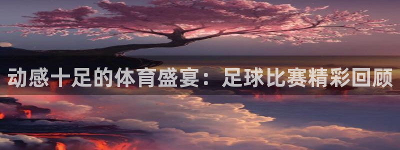 动感十足的体育盛宴：足球比赛精彩回顾