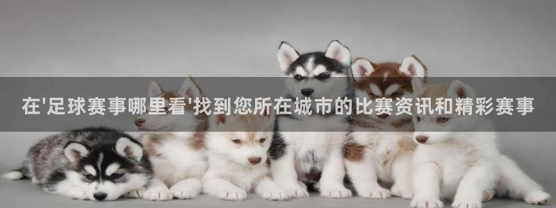 在\'足球赛事哪里看\'找到您所在城市的比赛资讯和精彩赛事