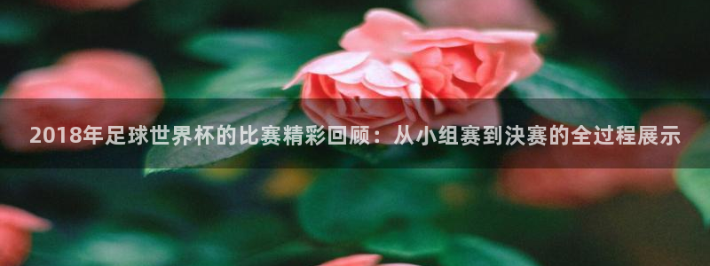 2018年足球世界杯的比赛精彩回顾：从小组赛到決赛的全过程展示