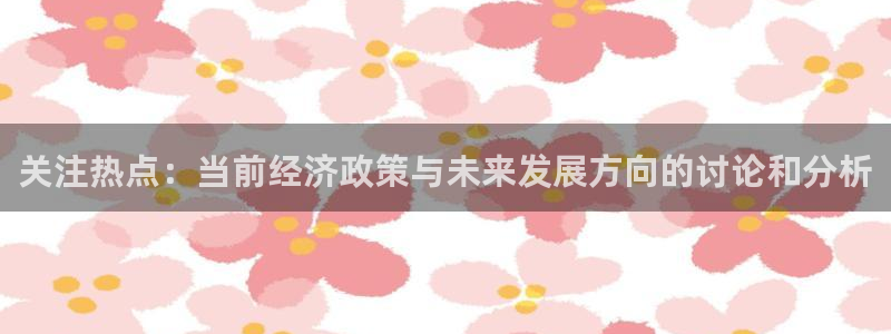 关注热点：当前经济政策与未来发展方向的讨论和分析