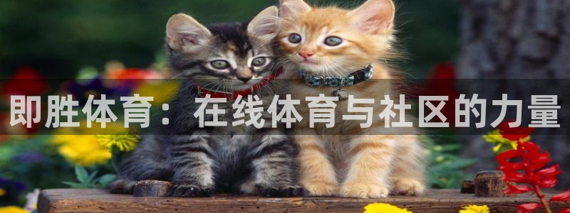 即胜体育：在线体育与社区的力量