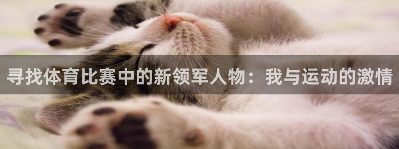寻找体育比赛中的新领军人物：我与运动的激情