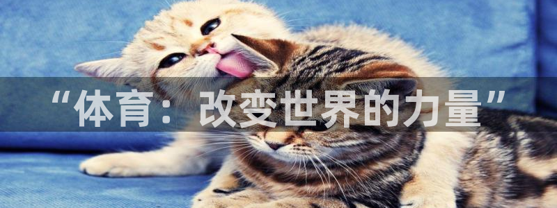 “体育：改变世界的力量”