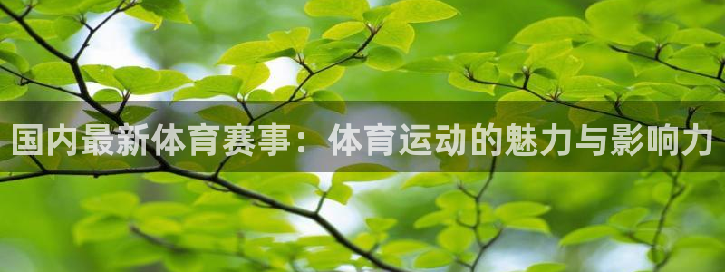 国内最新体育赛事：体育运动的魅力与影响力