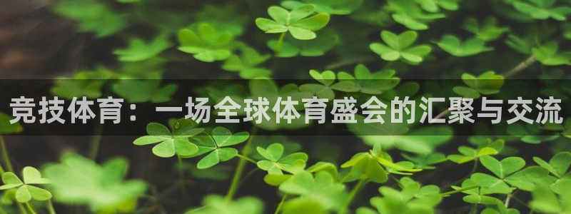 竞技体育：一场全球体育盛会的汇聚与交流